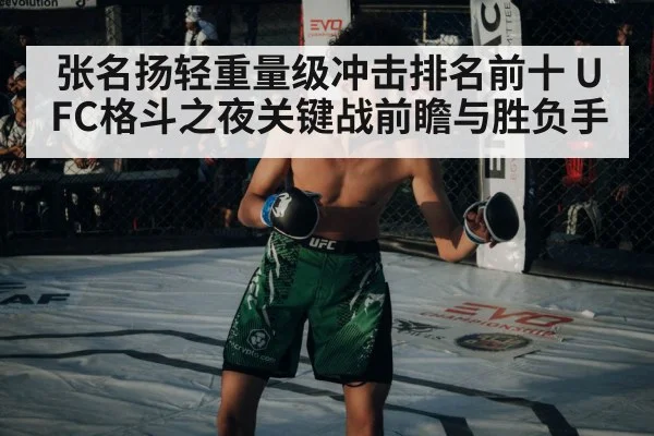MMA fighter in octagon(Newboss)